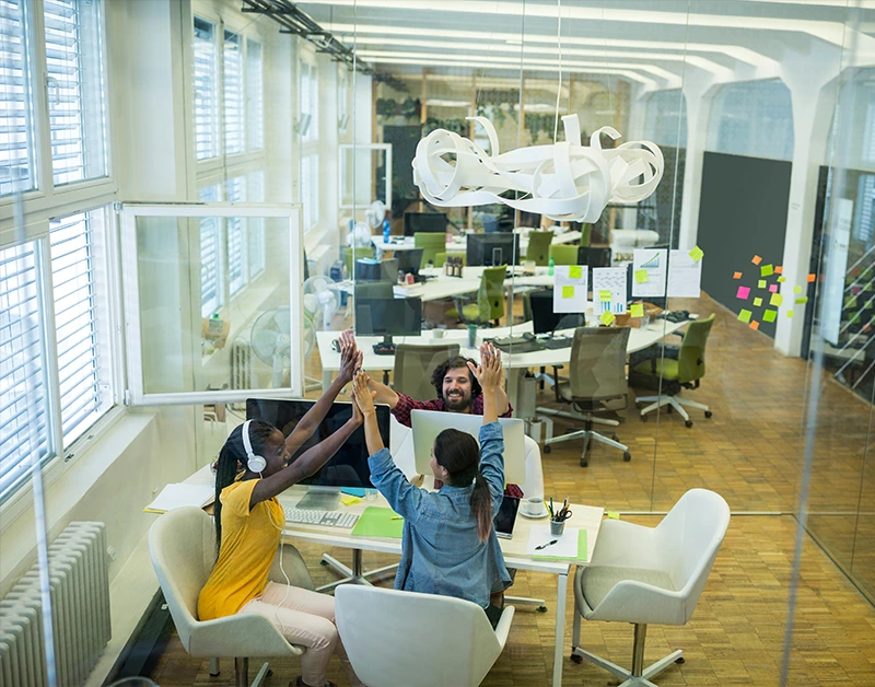 Professional Facilities in a Flexible Office