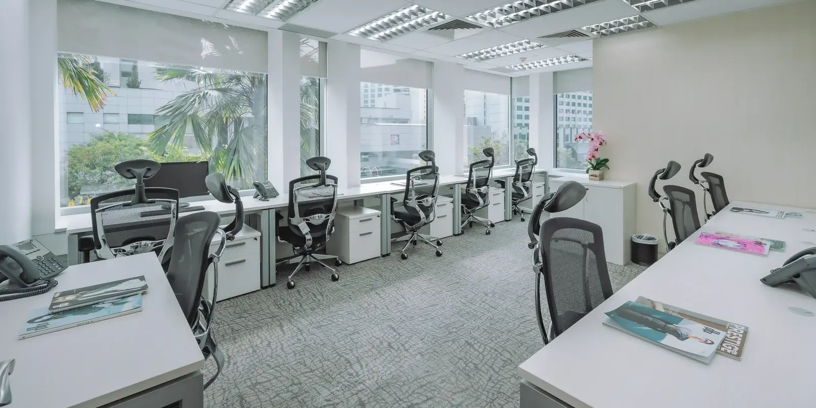 Row of workstations in an open-plan office space